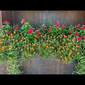 Meet your Posher, Summer